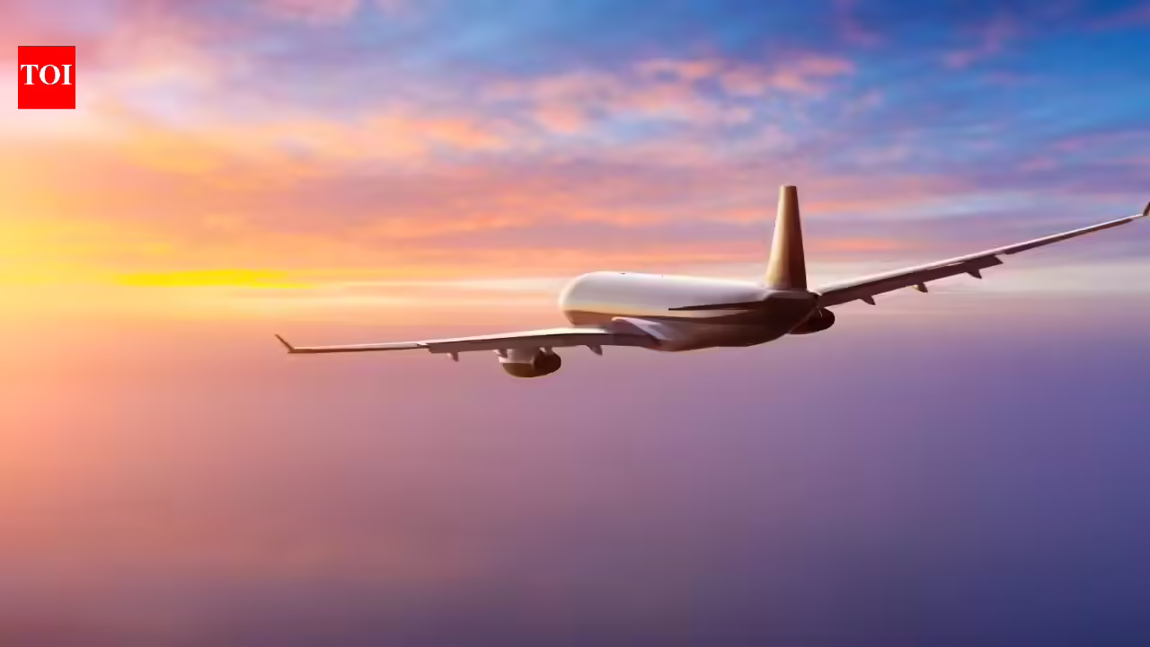 Up to 2-year no-fly ban proposed in DGCA draft: What travellers should know about where to file an appeal and next steps |