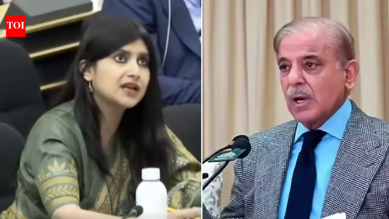 Un Human Rights Council: ‘Living in la-la land’: India slams Pakistan’s ‘incessant propaganda’ at UN | India News